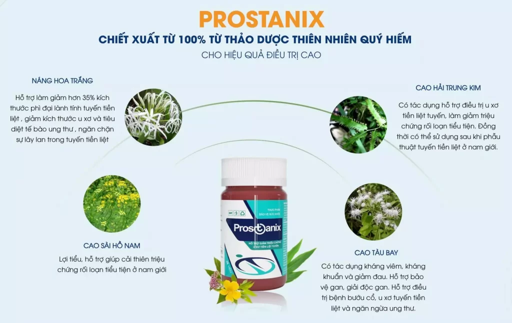 Prostanix Có tốt không? Giá bao nhiêu? Mua ở đâu chính hãng?