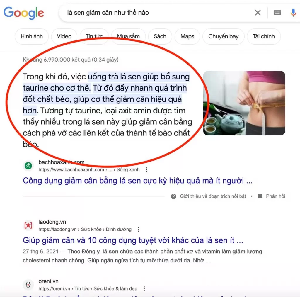 Thuốc giảm cân Vitafit có tốt không? Bán ở đâu chính hãng