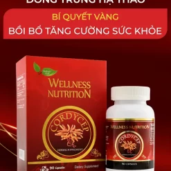 Viên đông trùng hạ thảo Wellness Nutrition (Hộp 90 viên)