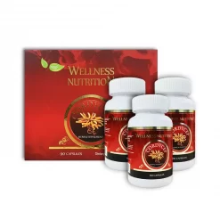 Viên đông trùng hạ thảo Wellness Nutrition (Hộp 90 viên)