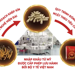 Viên đông trùng hạ thảo Wellness Nutrition (Hộp 90 viên)